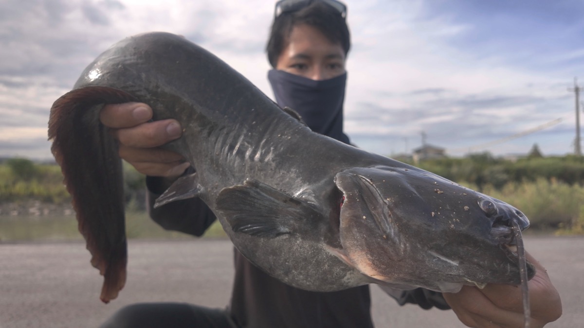 うっちー - 徳島の釣りガイド・SNS総フォロワー45万人